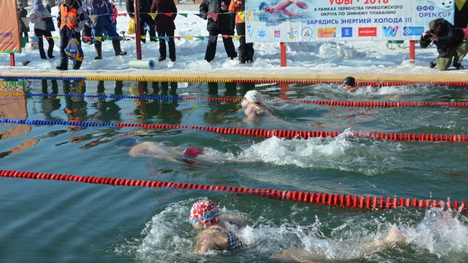 Елена Ледяйкина