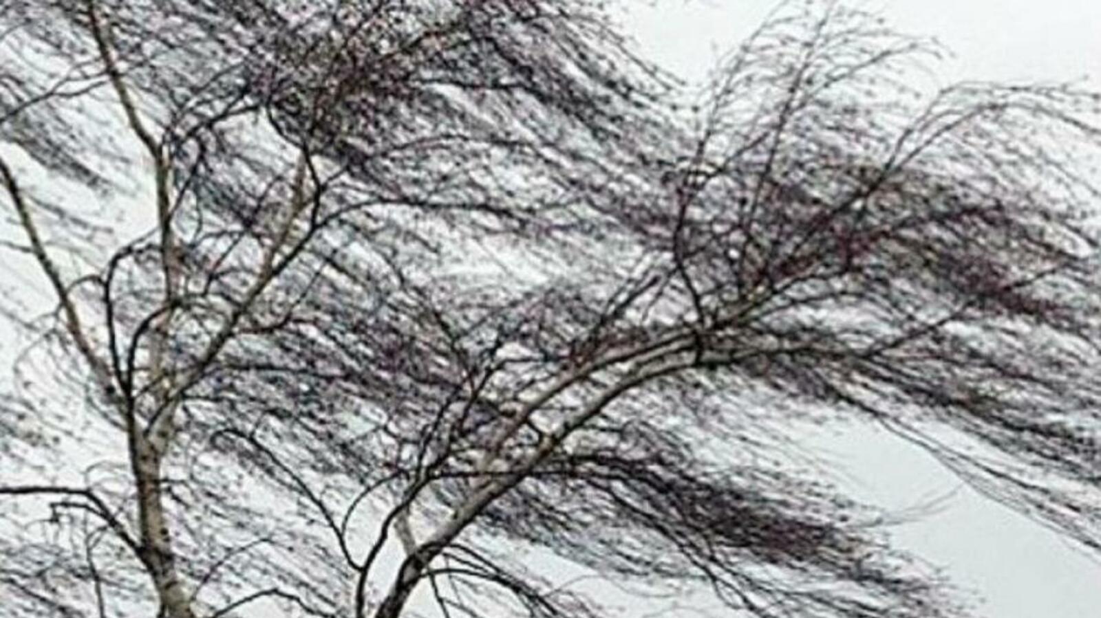 администрация Уфы