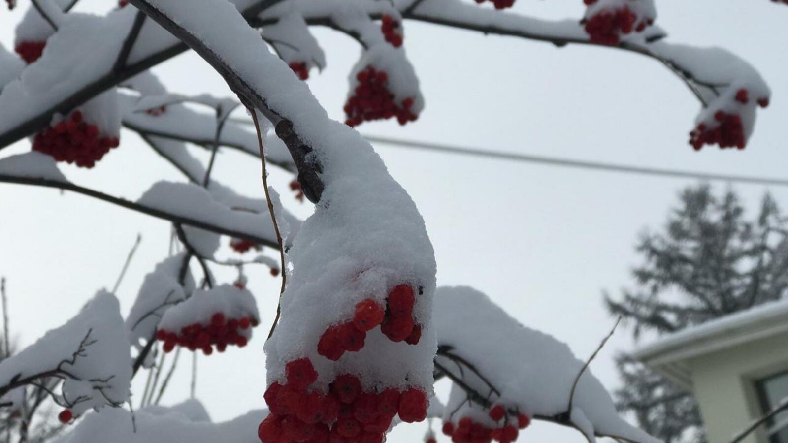 Ксения Калинина