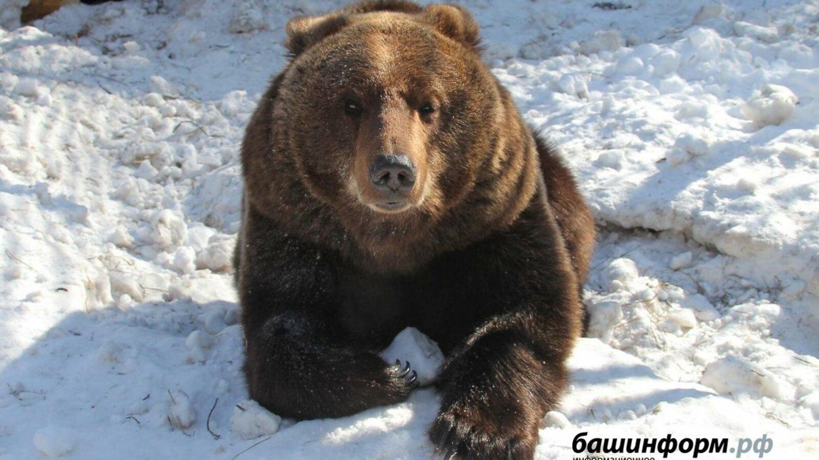 ИА «Башинформ»