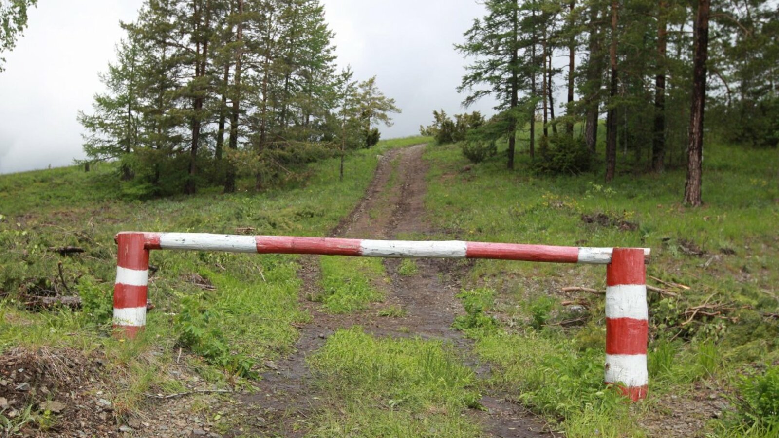 Олег Яровиков