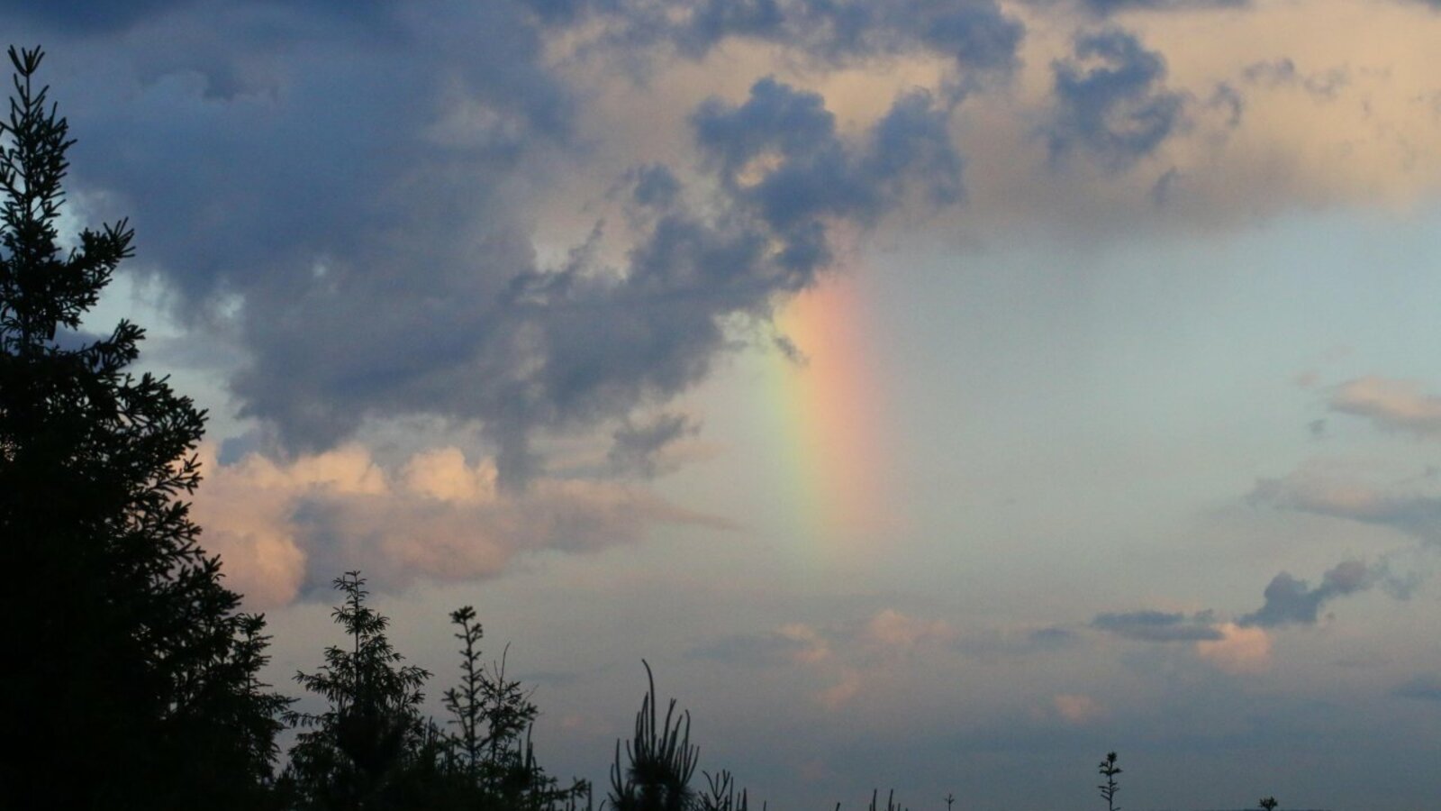 Валерий Шахов