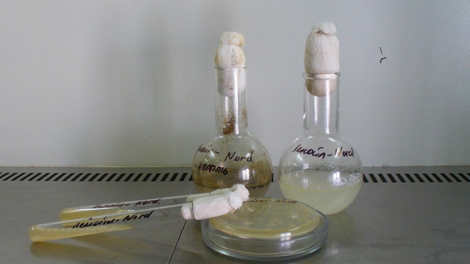 предоставлено Олегом Логиновым