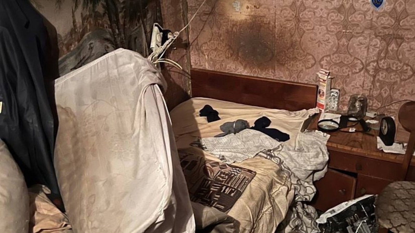 Первое областное 1obl.ru