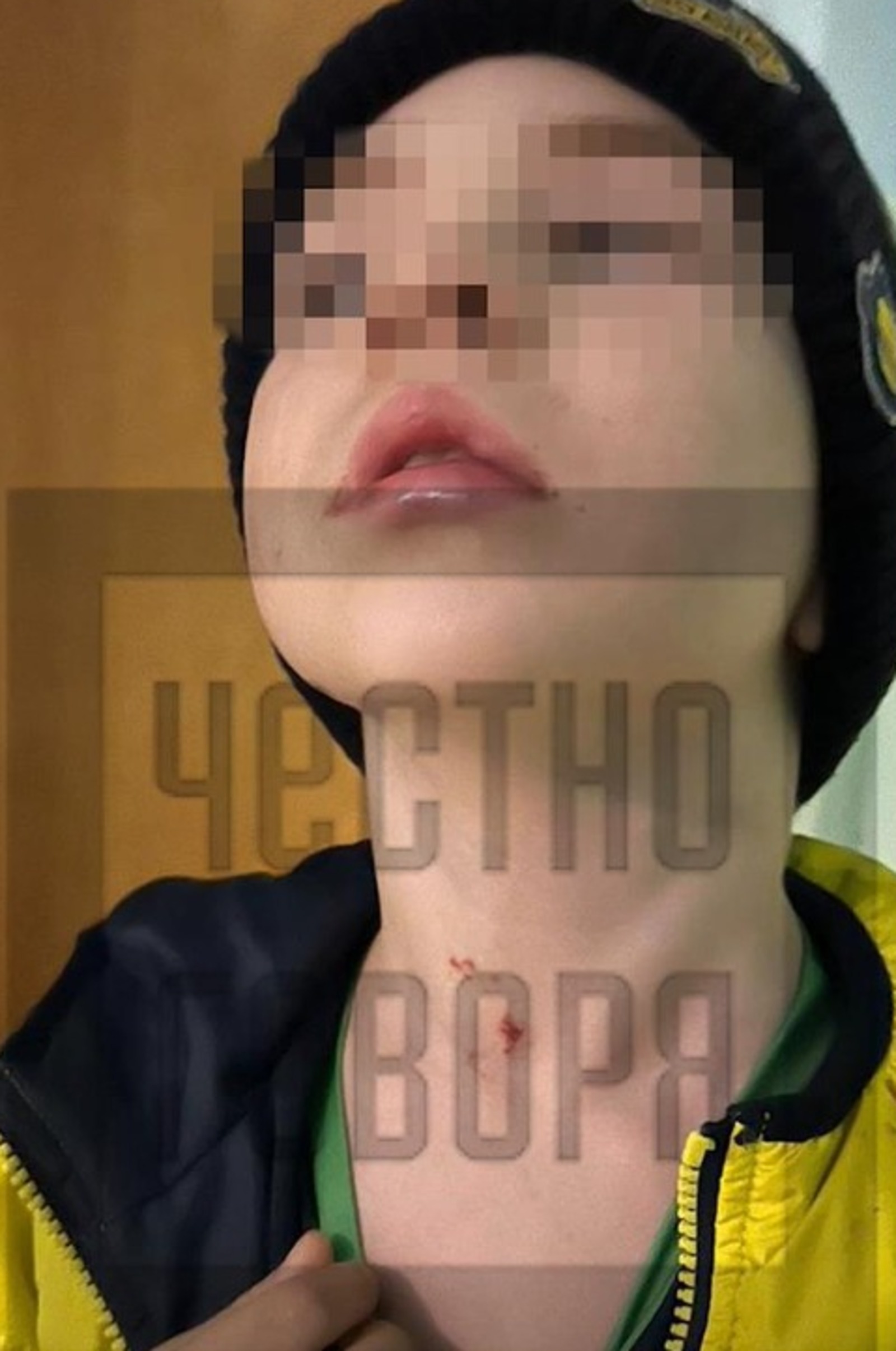 телеграм-канал «Честно говоря»