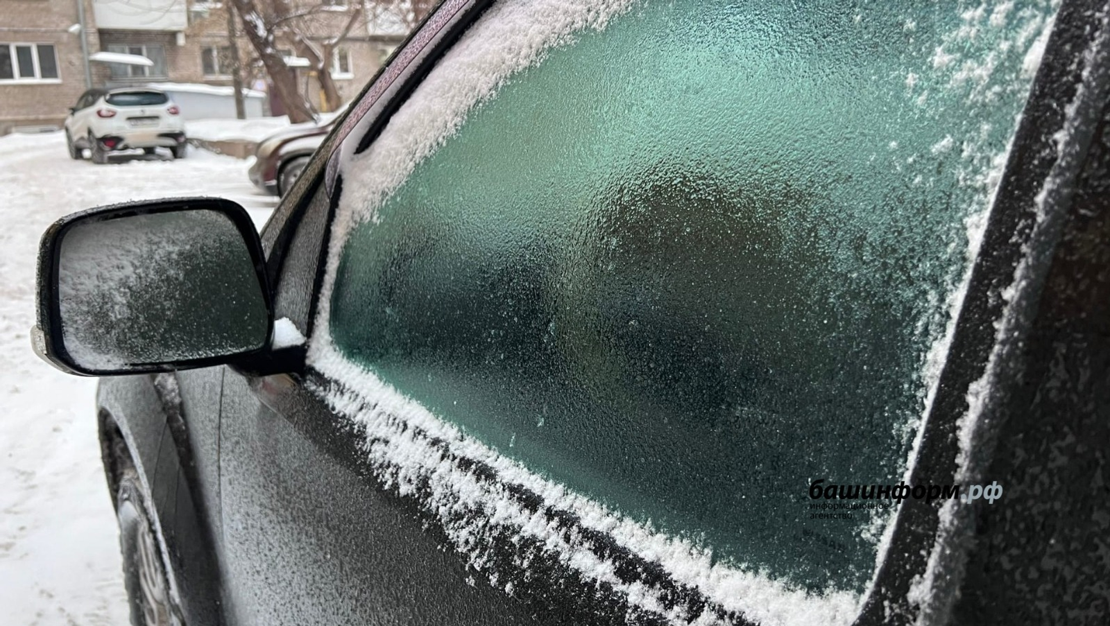 Ксения Калинина