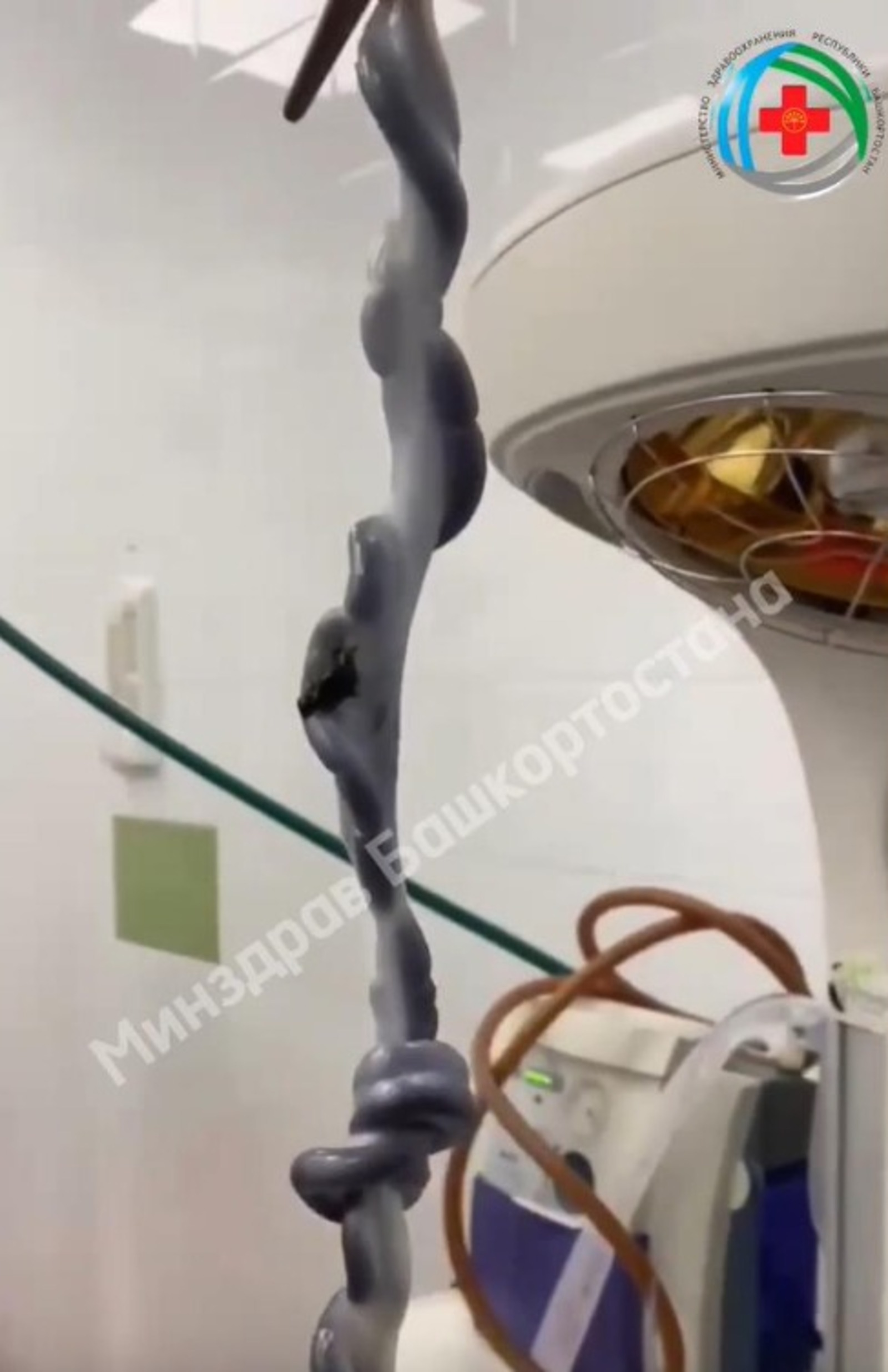 МЗ РБ телеграм