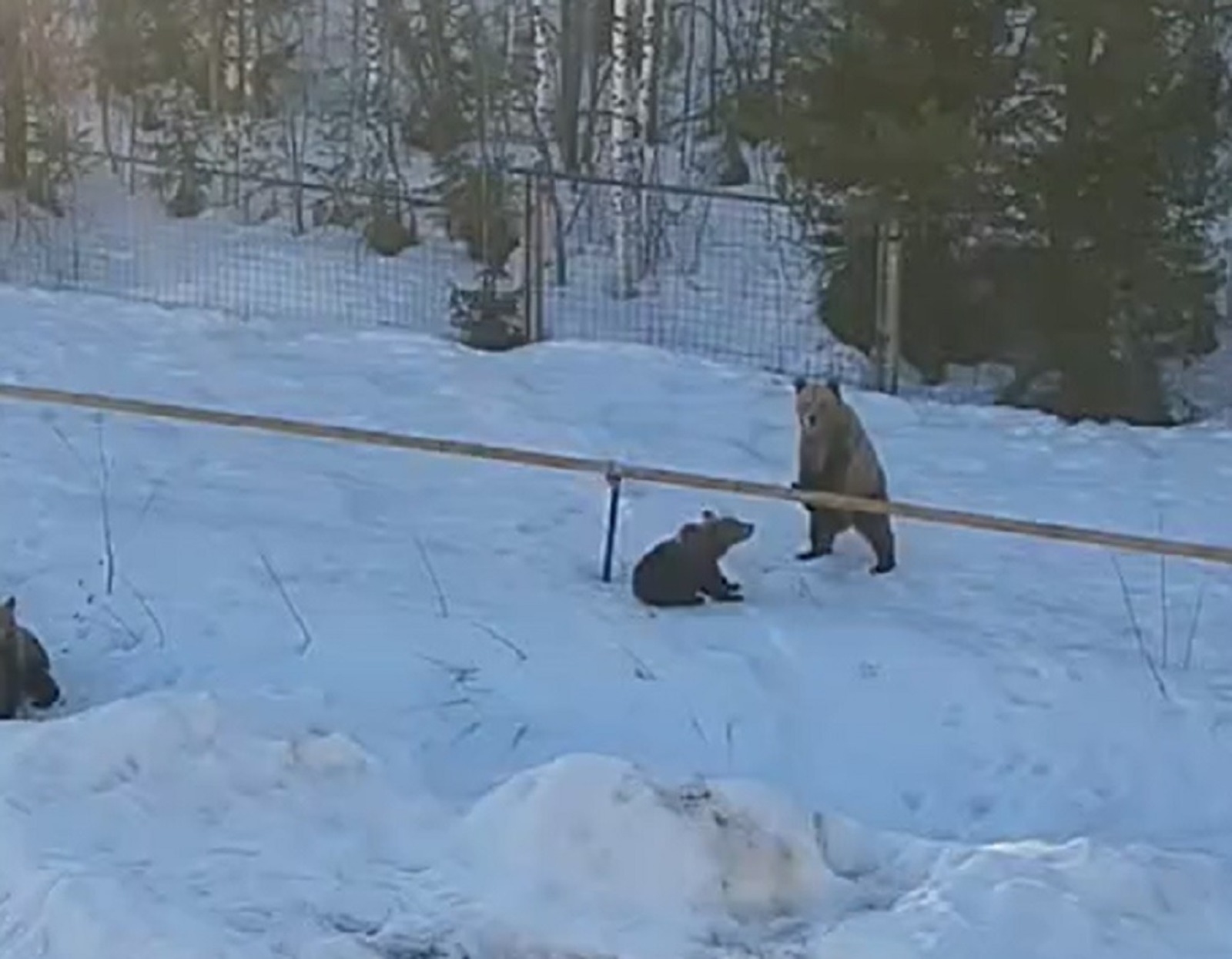 скриншот видео
