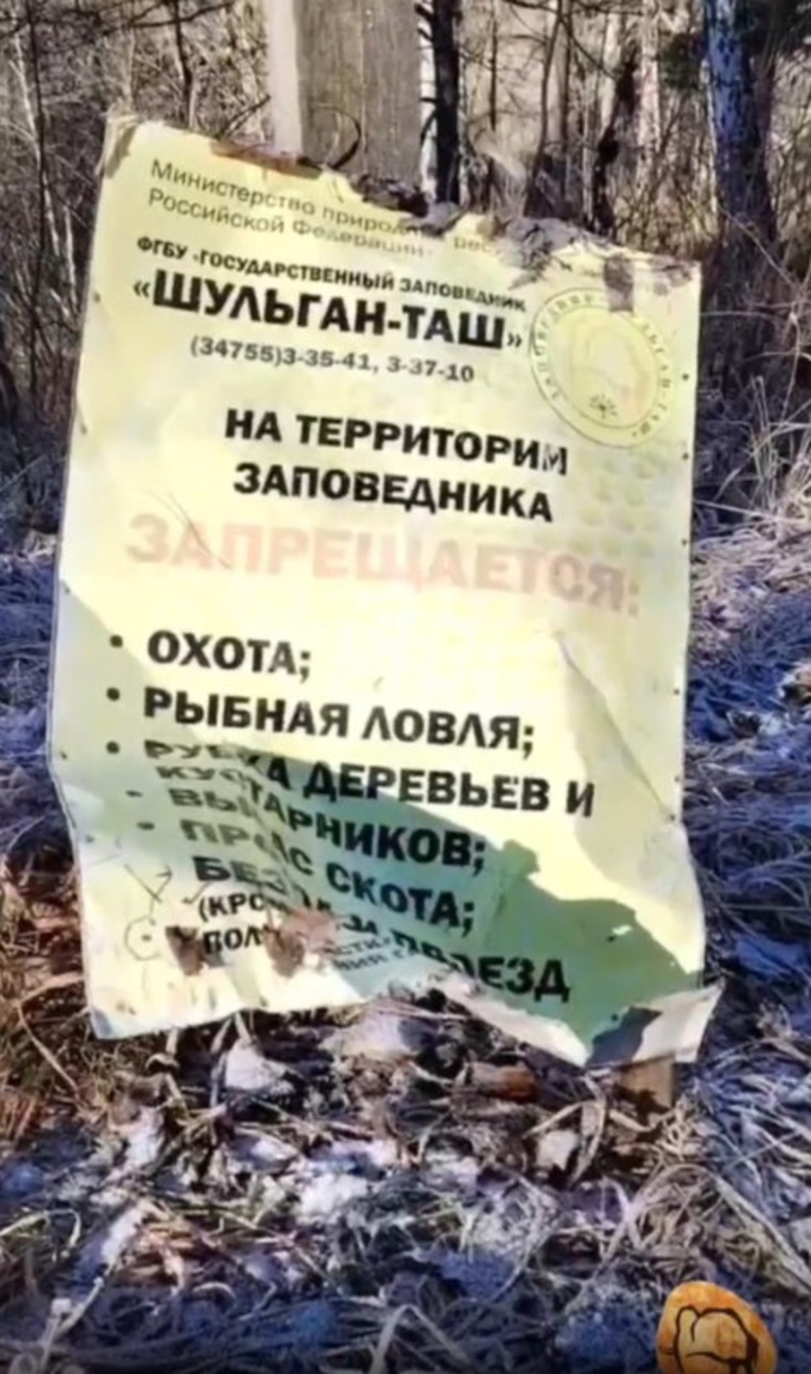 Природный заповедник "Шульган-Таш" телеграм-канал