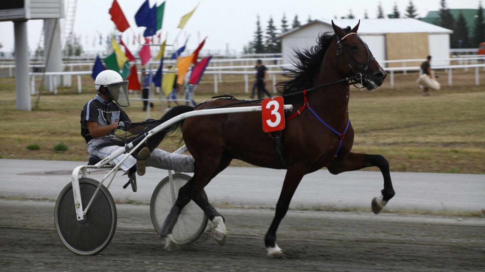 предоставлено ипподром «Акбузат»