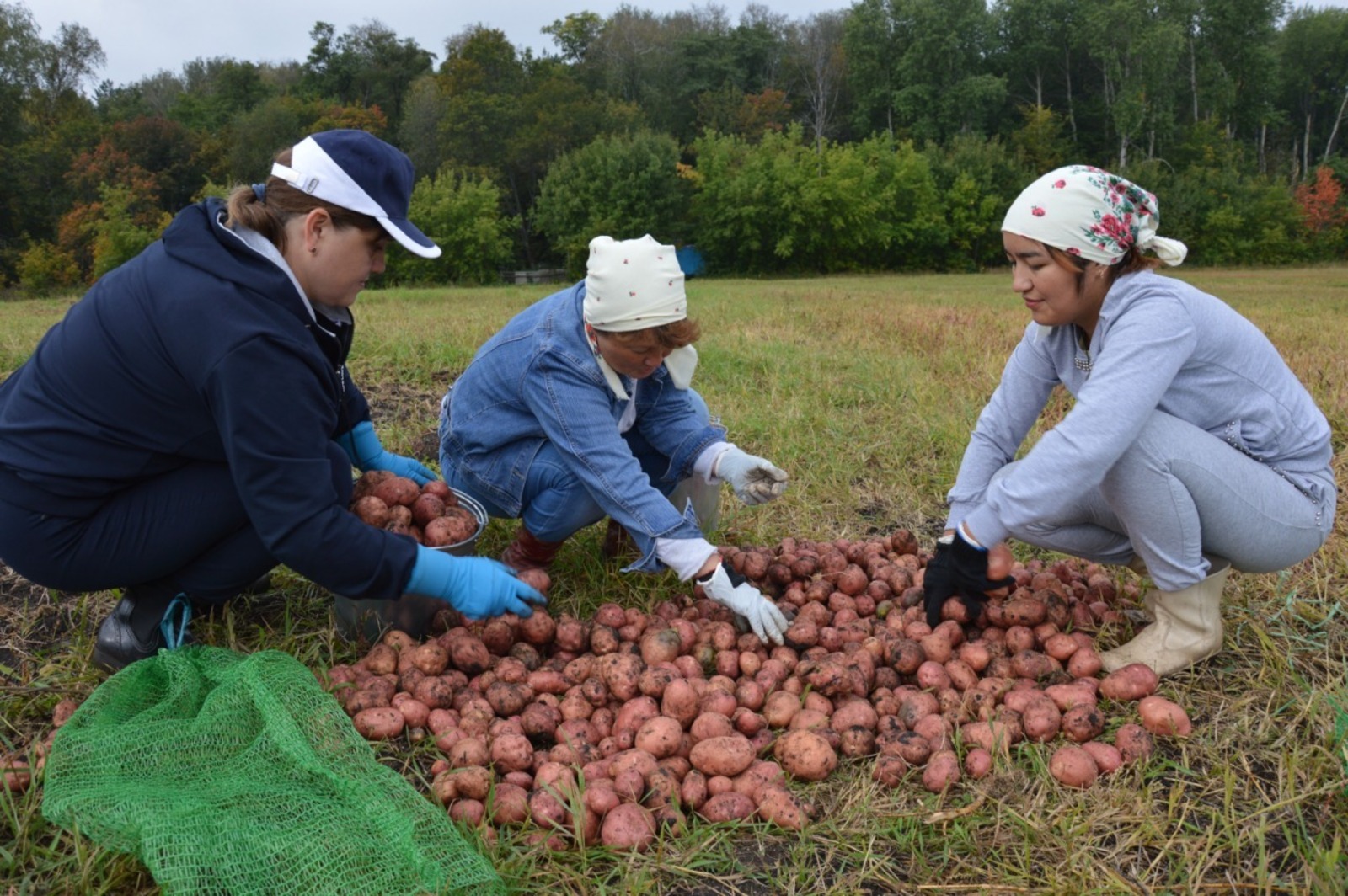 Россельхозцентр по РБ