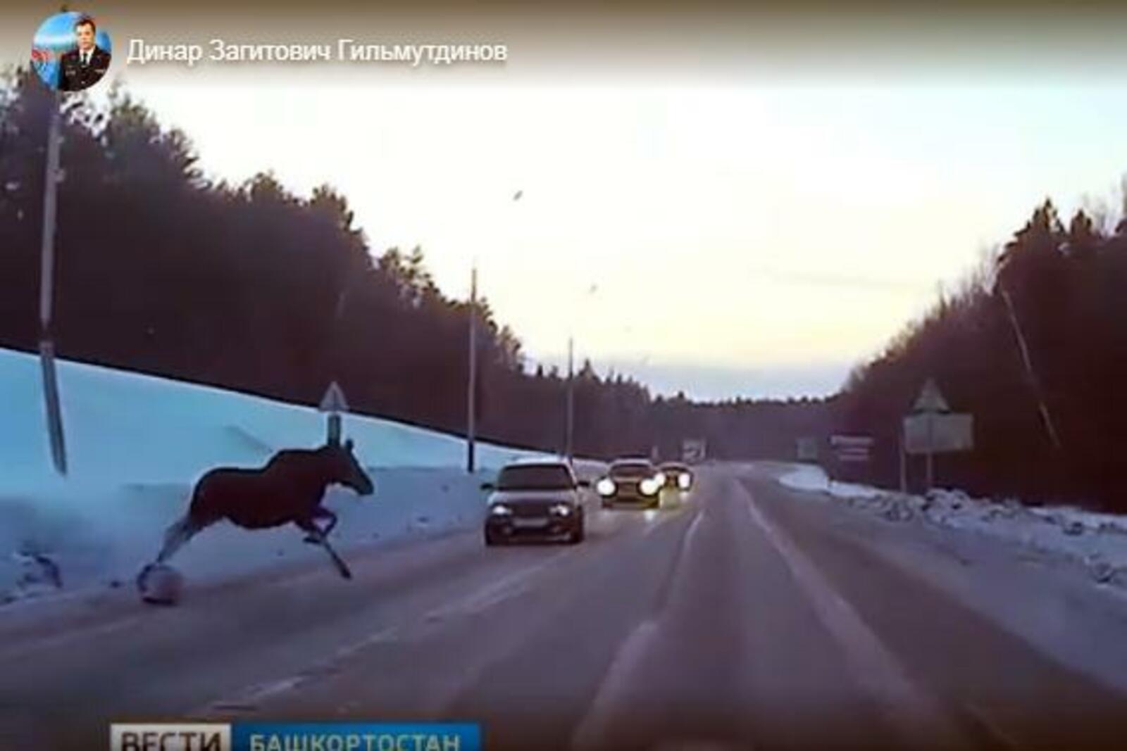 скриншот видео