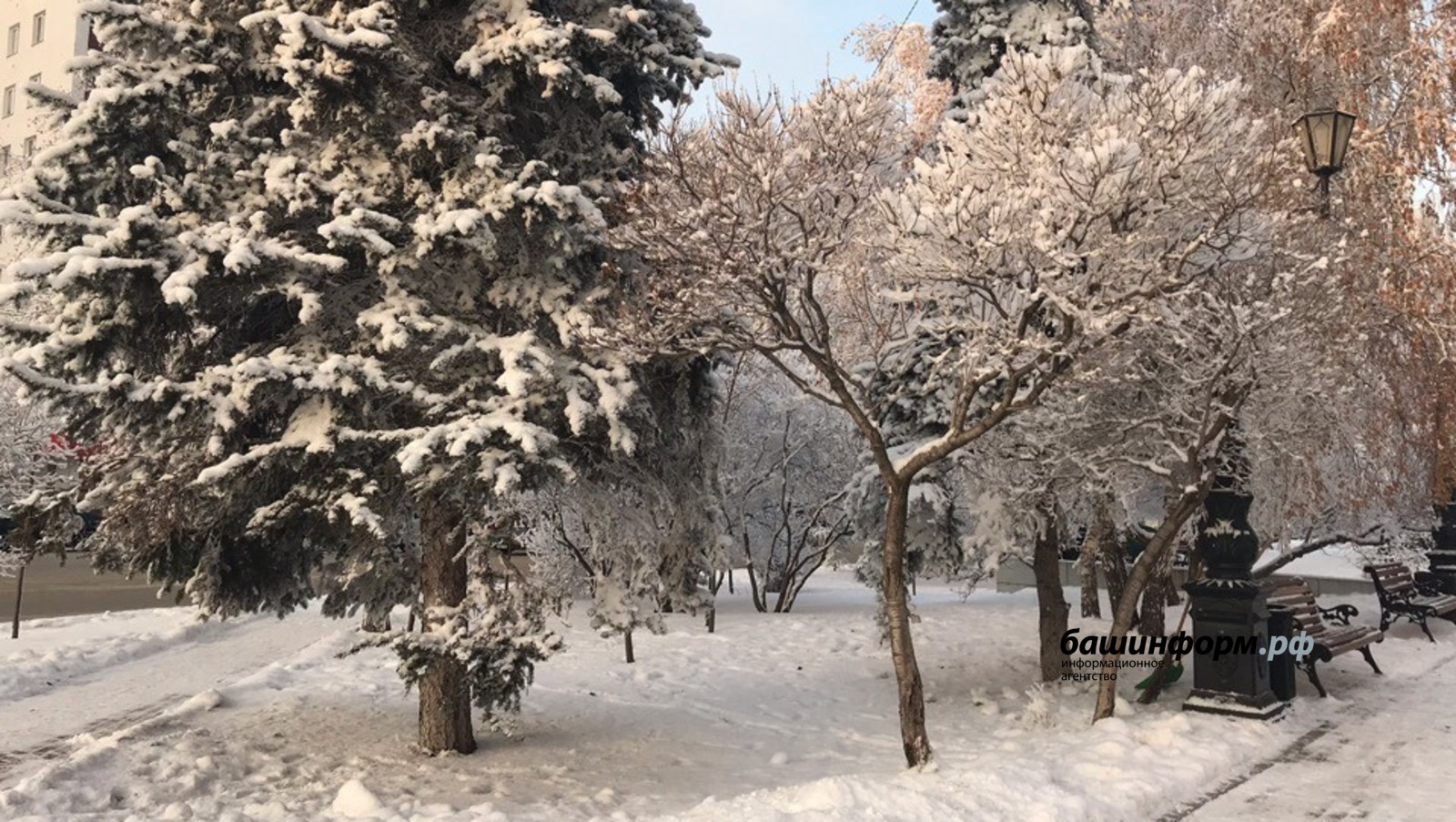 Ксения Калинина