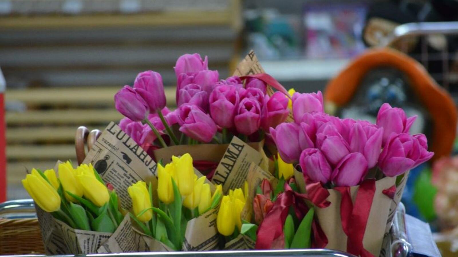 Ксения Калинина