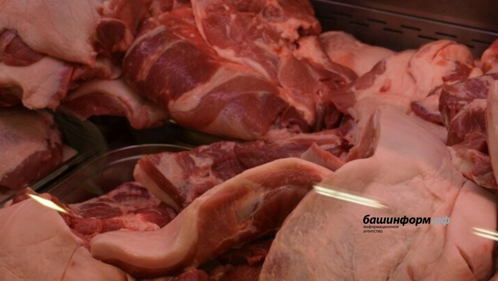 Доля говядины от производителей Башкирии в школьных столовых выросла на 84,3%