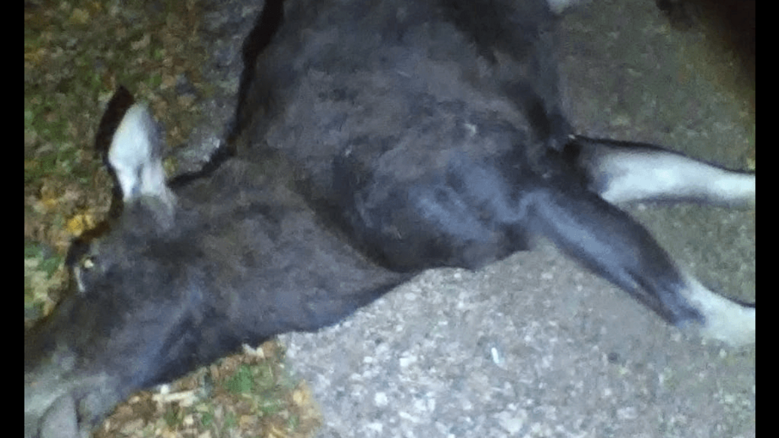 минэкологии