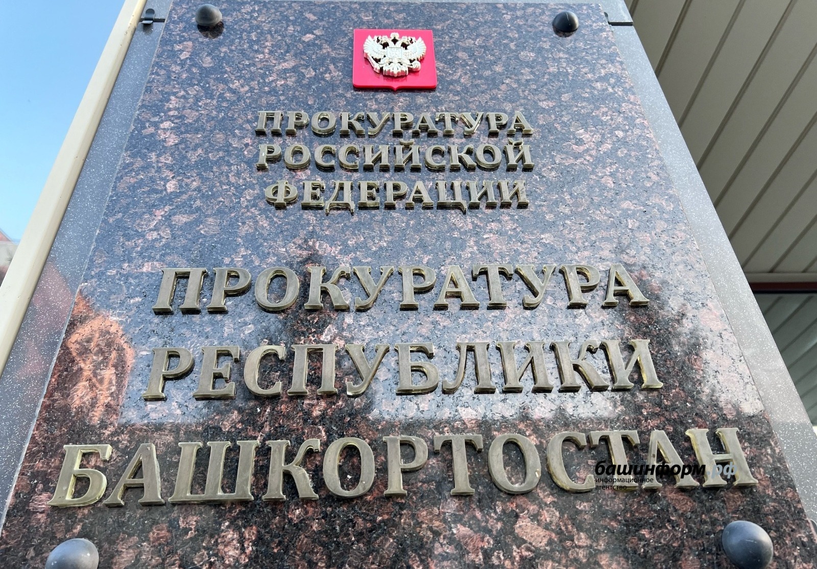 Ксения Калинина