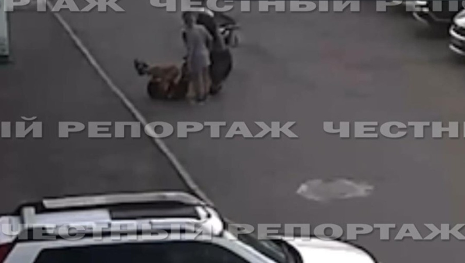 телеграм-канал «Честный репортаж»