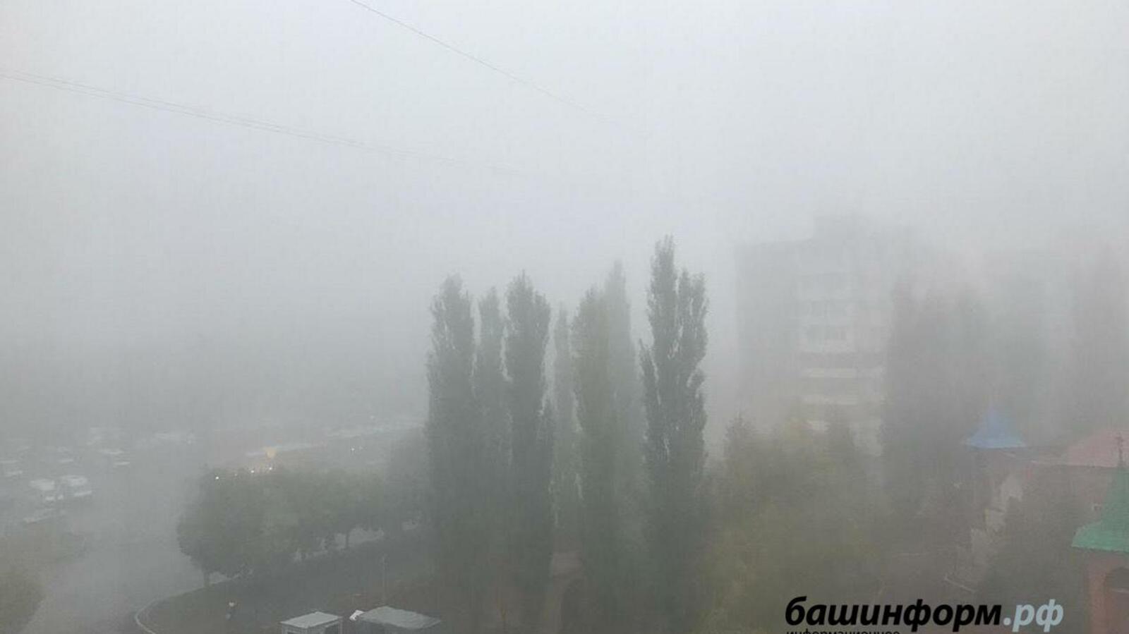 Ксения Калинина