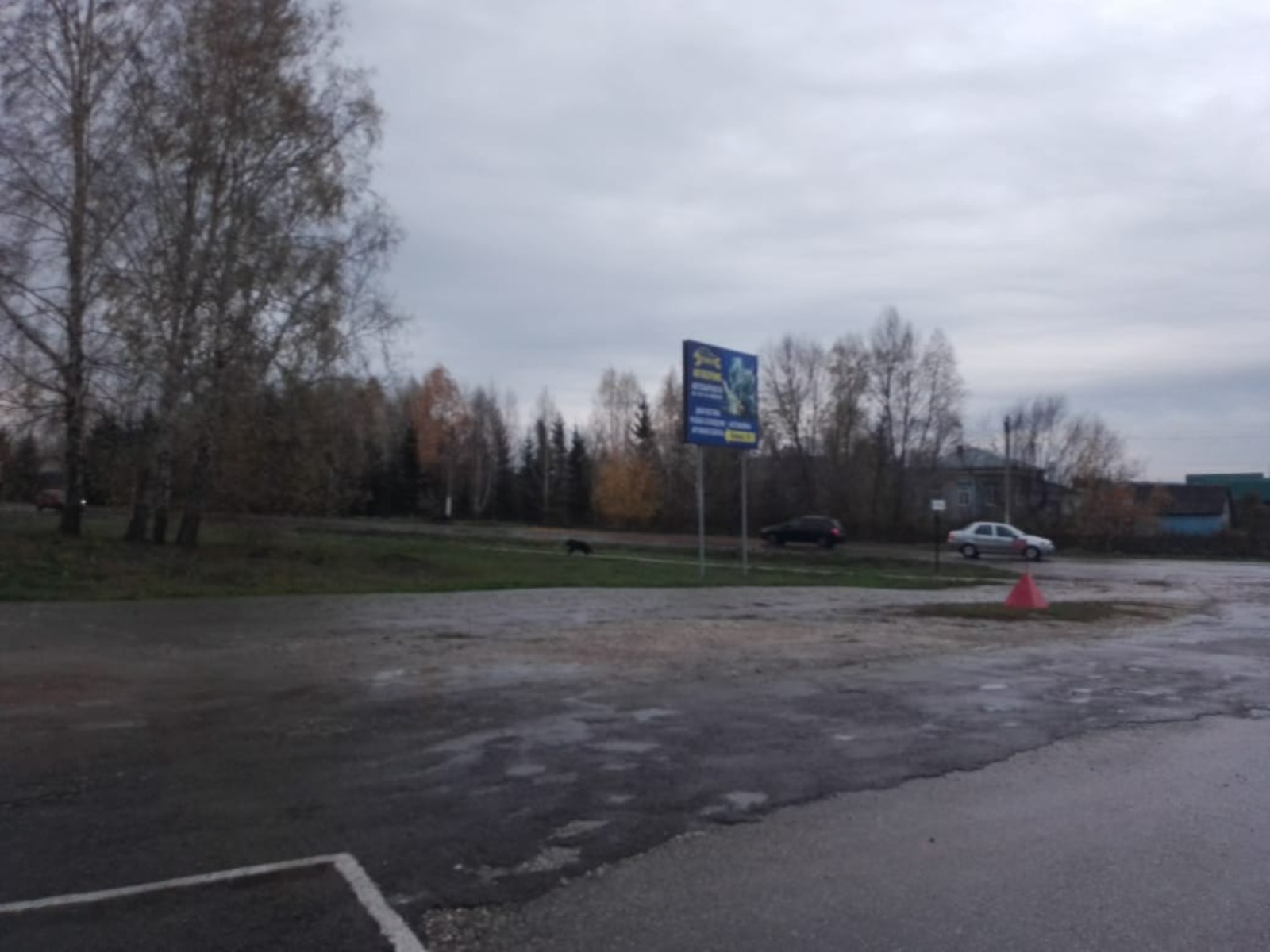 очевидцы