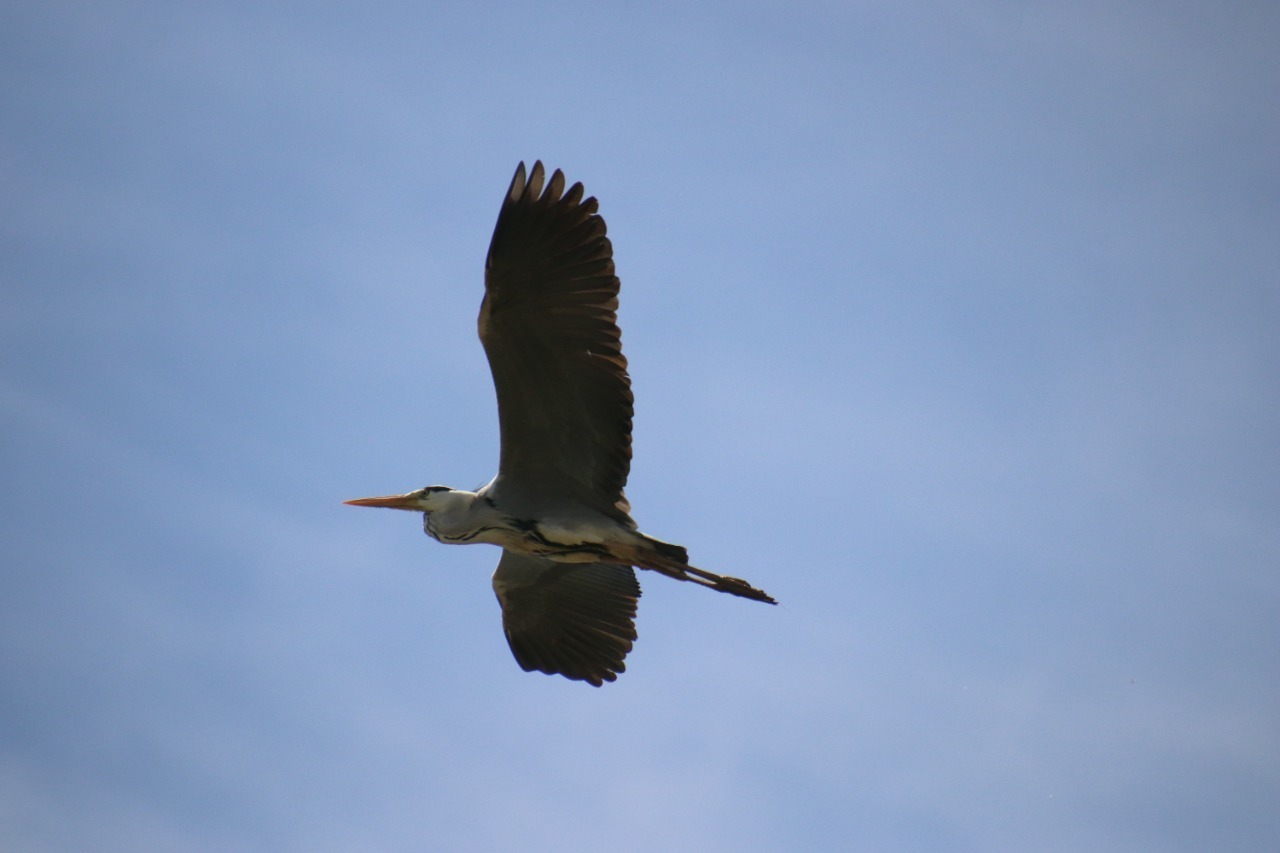 предоставлено пресс-службой ПАО «Ростелеком» в Башкортостане