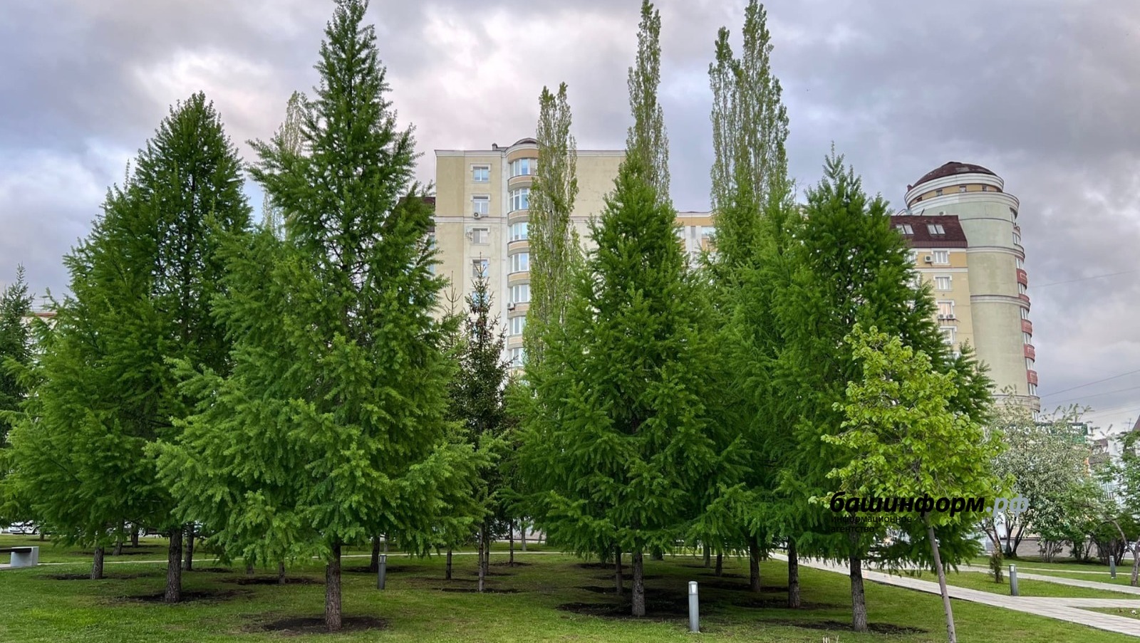 Ксения Калинина