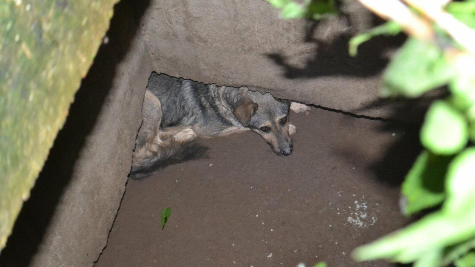 Служба спасения 112