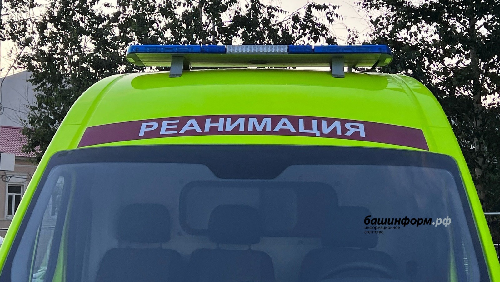 Ксения Калинина