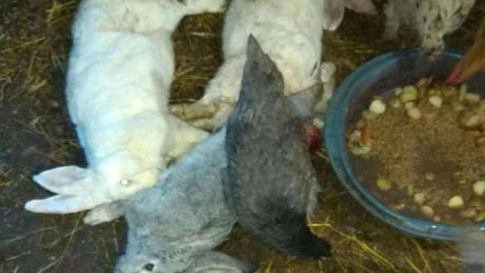 Лилия Сафуанова