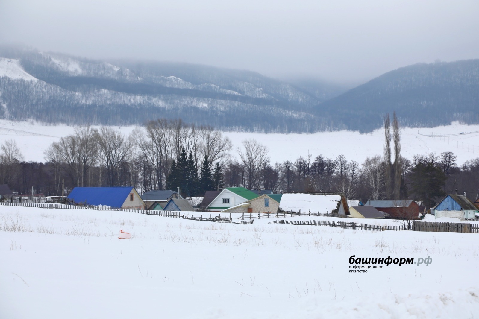 Валерий Шахов  «Башинформ»