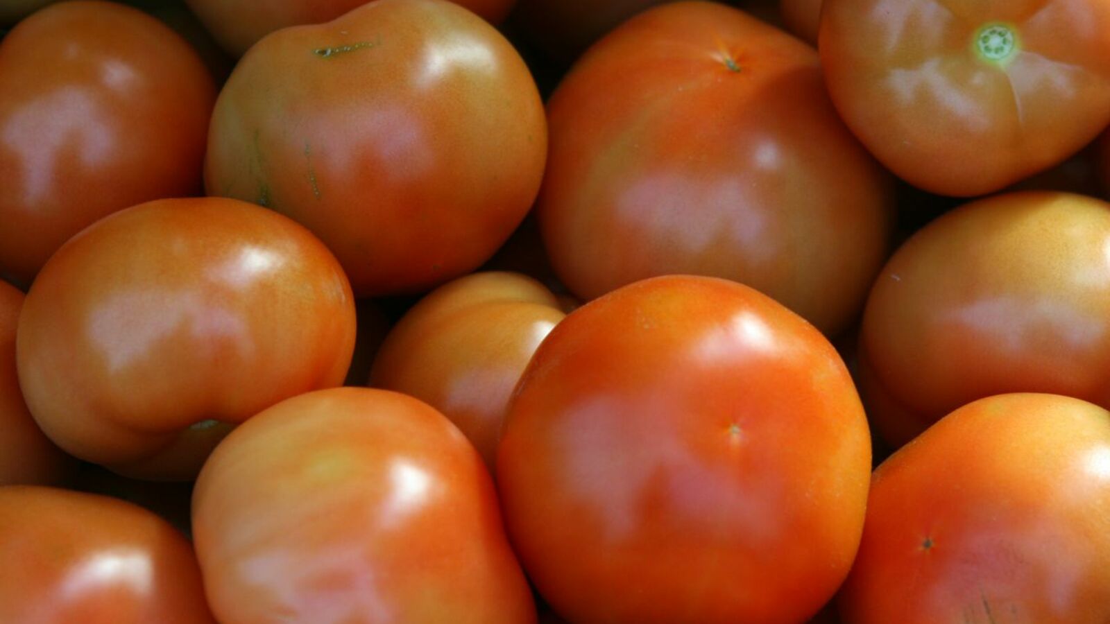 Андрей Старостин