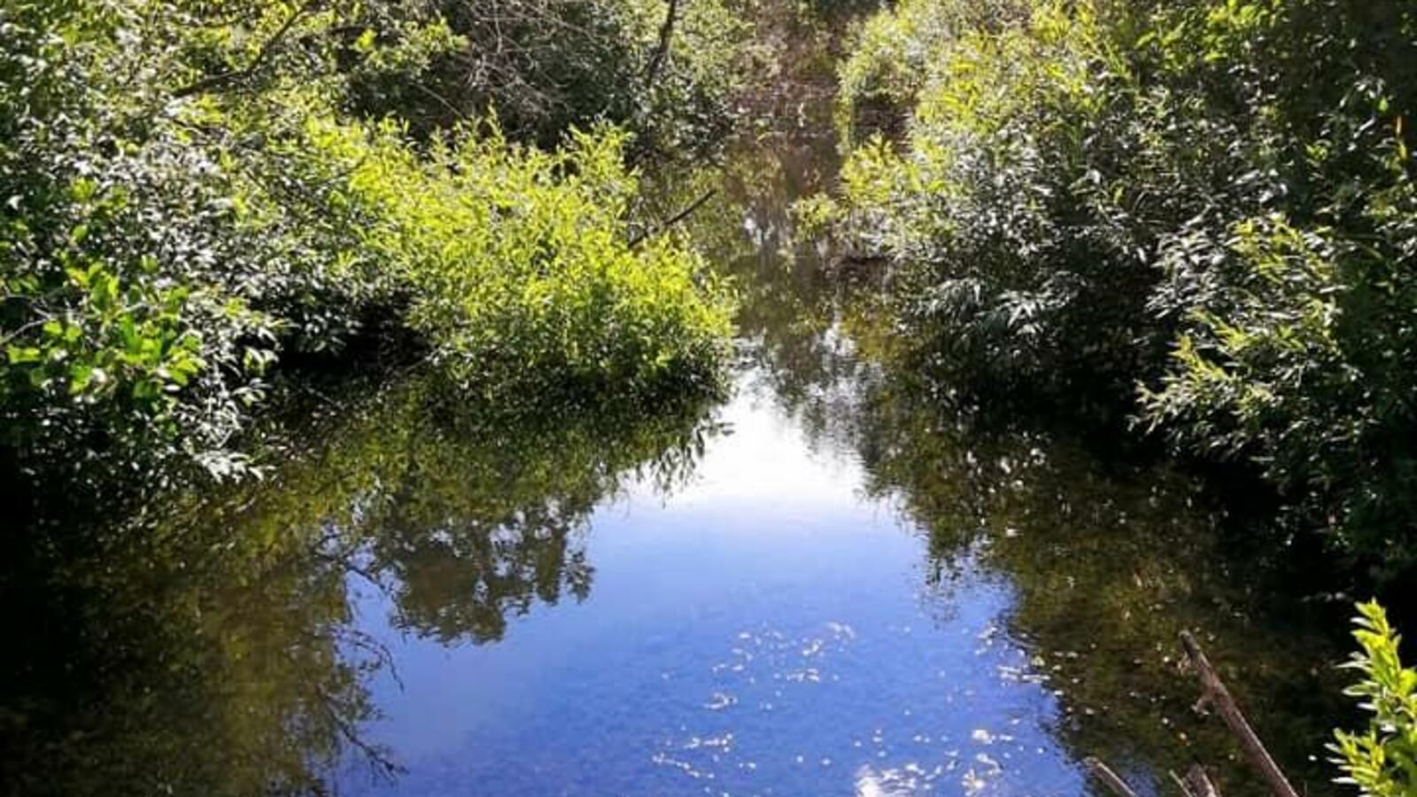 Руслан Халилов