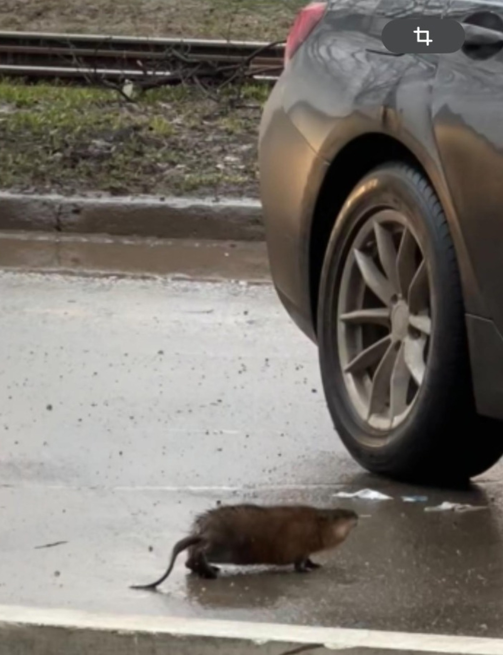 пресс-служба минэкологии Башкирии