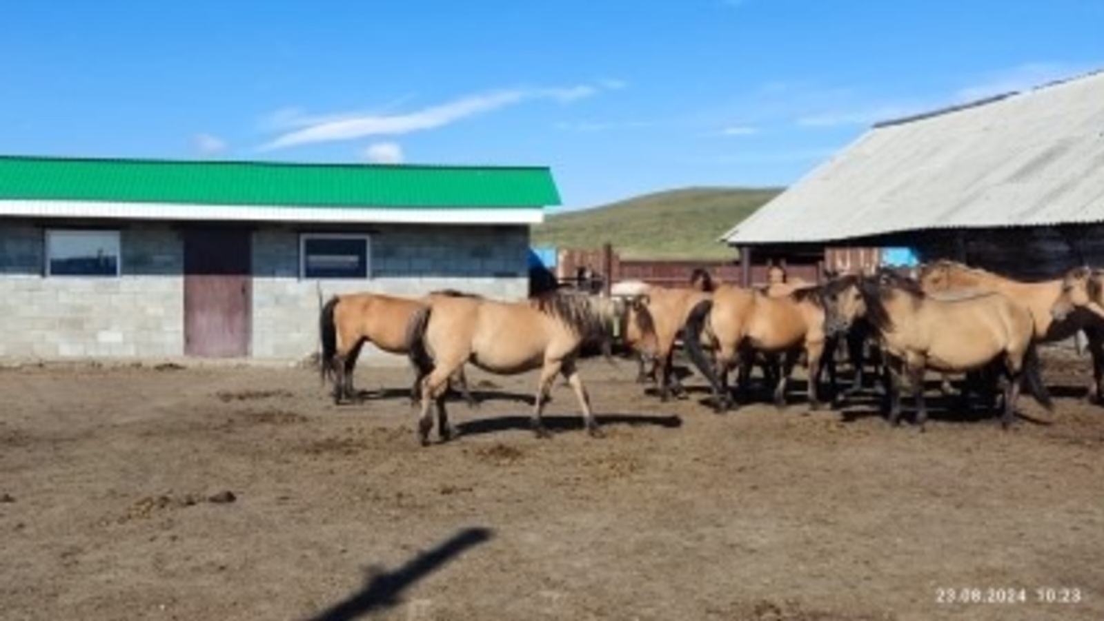 Ветеринар һәм фитосанитар күҙәтеү буйынса федераль хеҙмәттең республика идаралығы