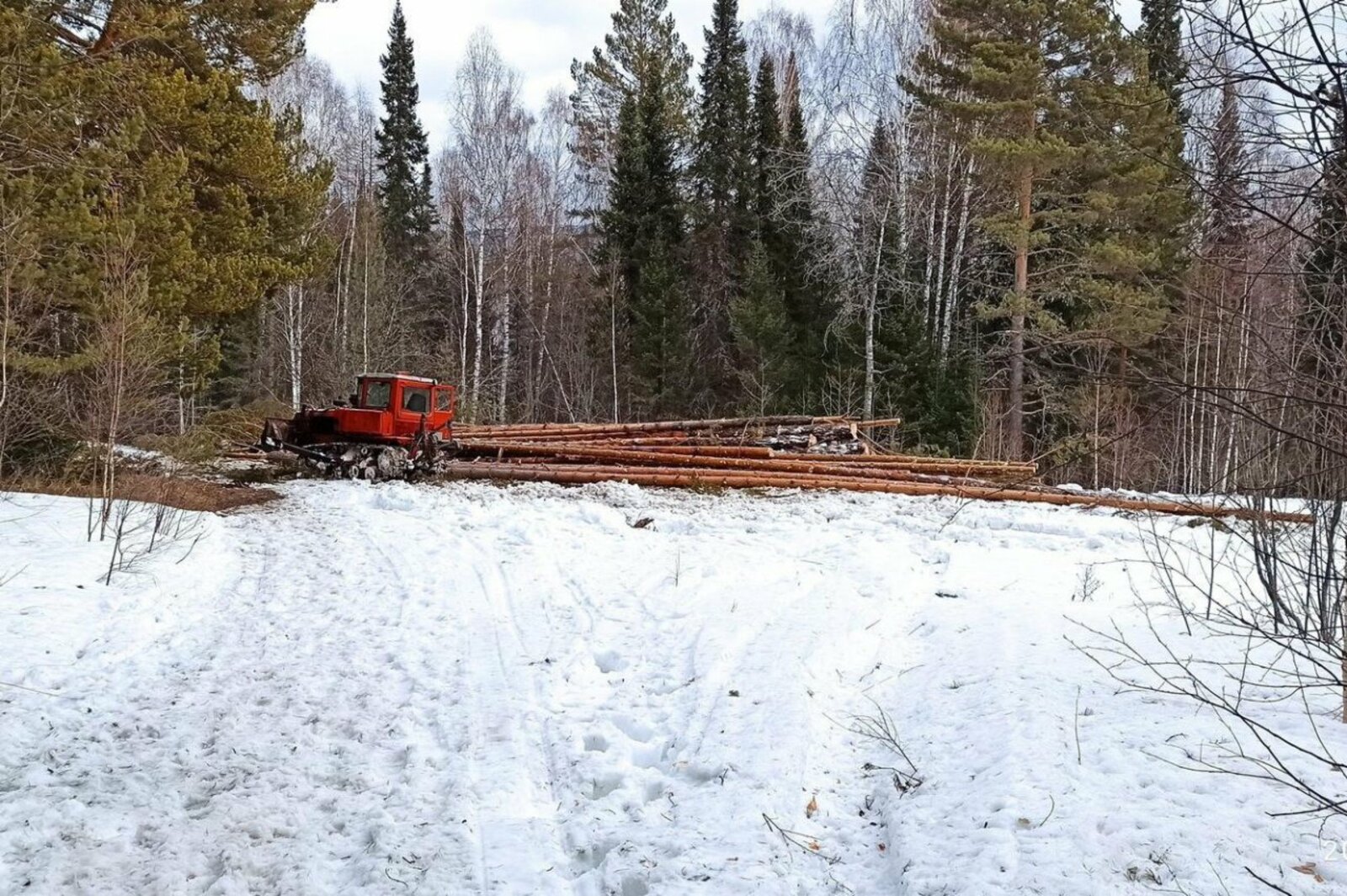 соцсети