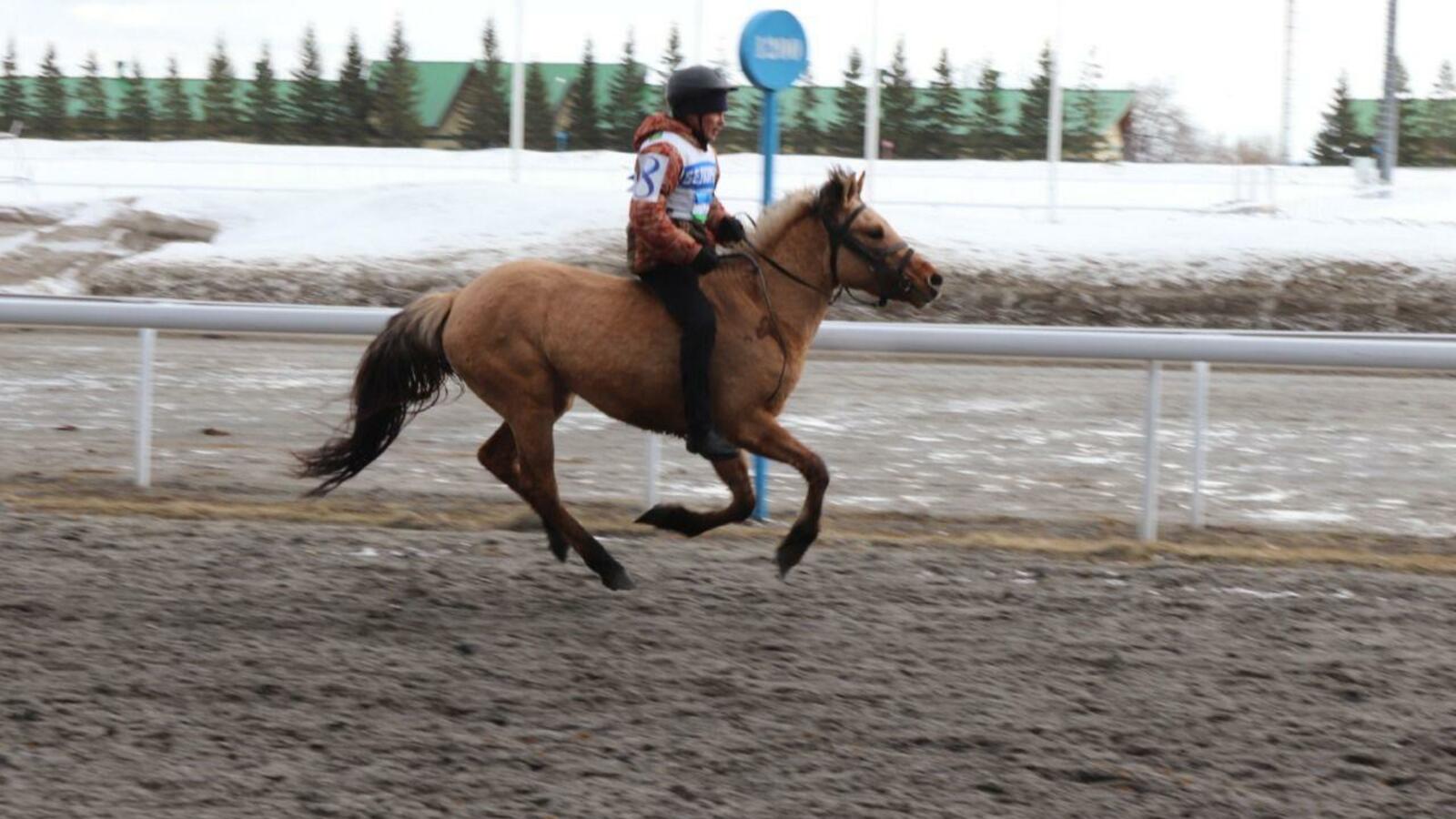 администрация Уфы