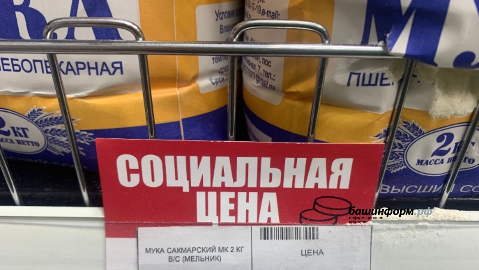 Галина Бахшиева