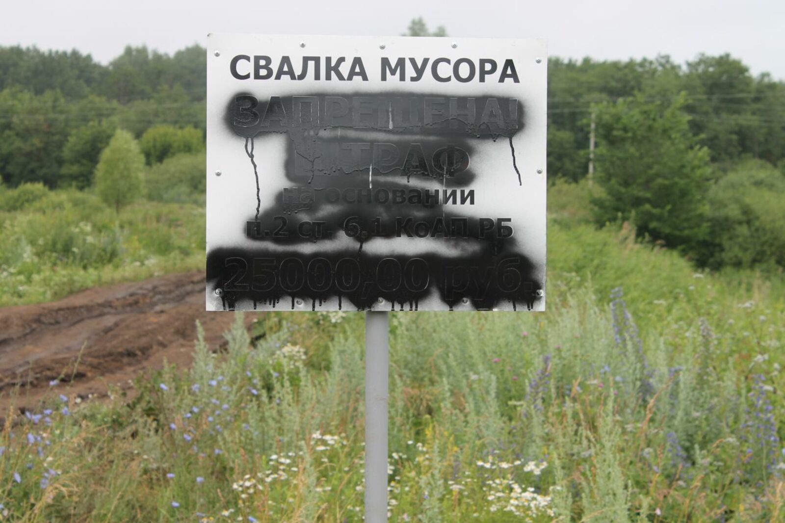 пресс-служба ОНФ