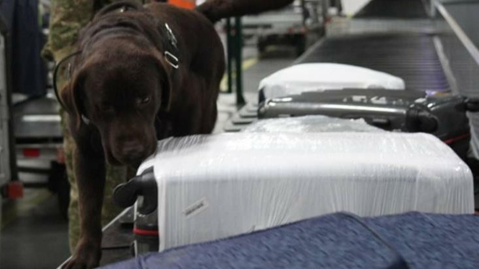 Башкортостанская таможня