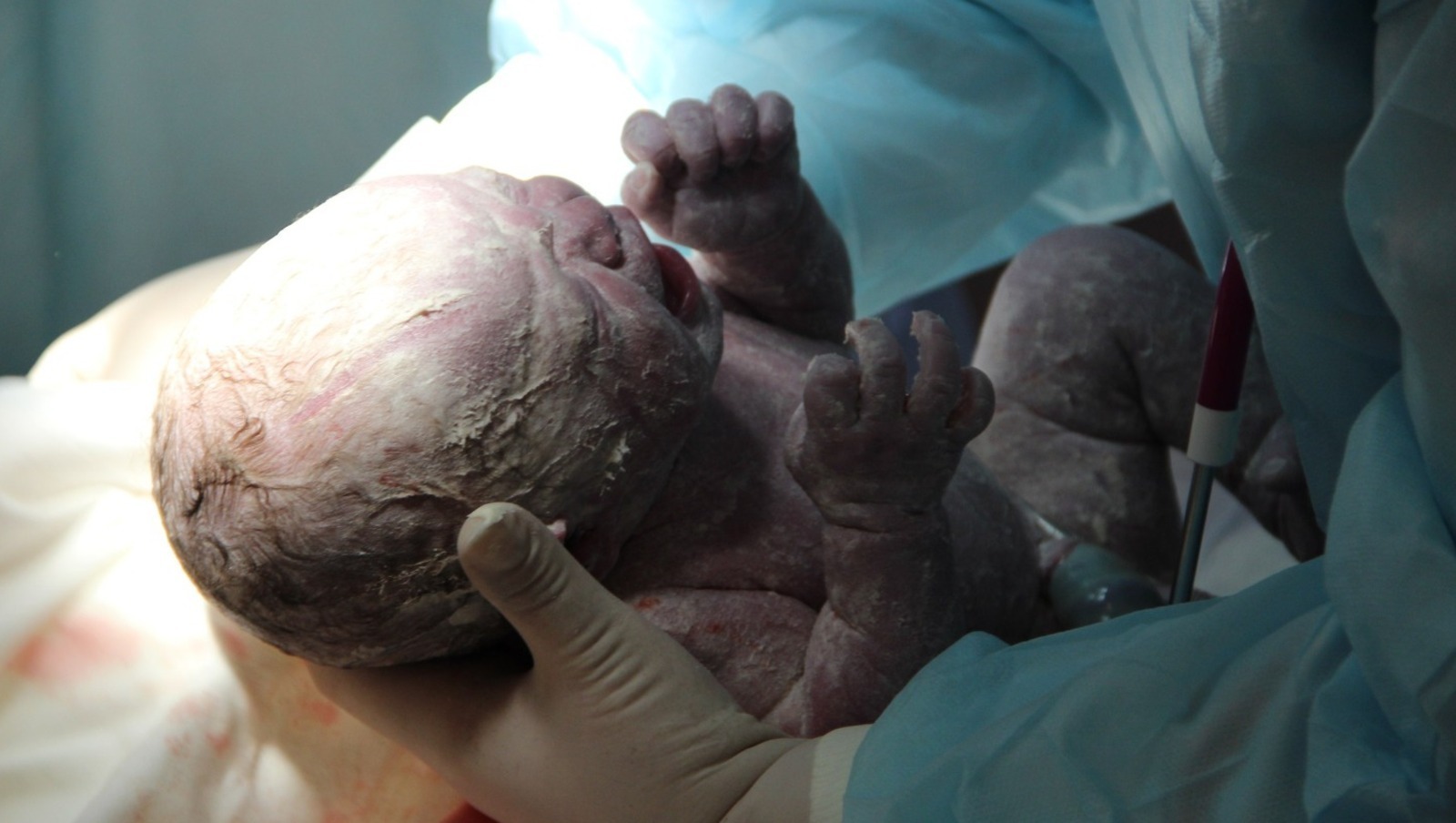 Ксения Калинина / «Башинформ» мәғлүмәт агентлығы