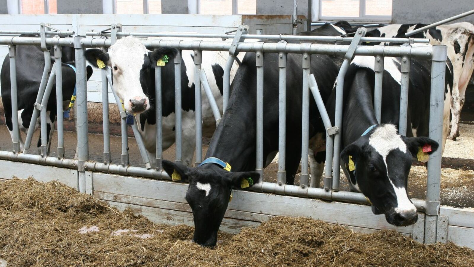 Олег Яровиков