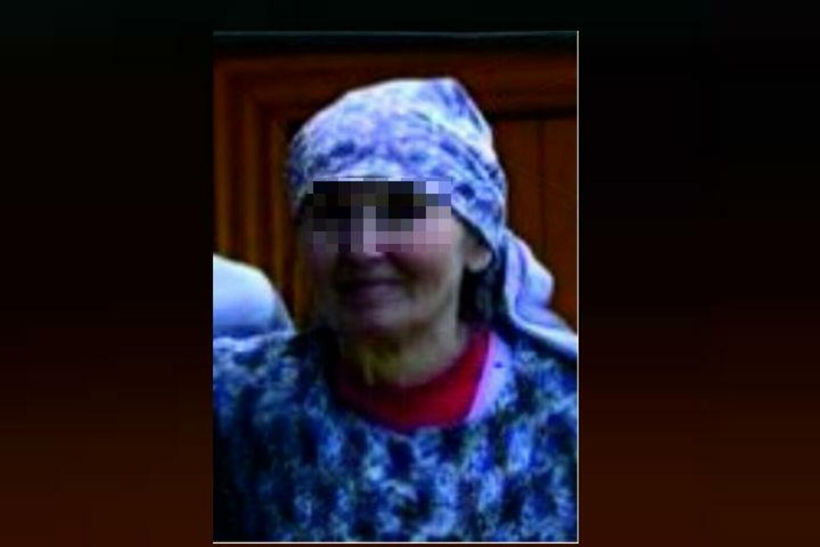 Лиза Алерт