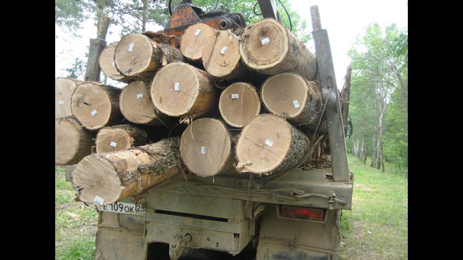 Минлесхоз РБ