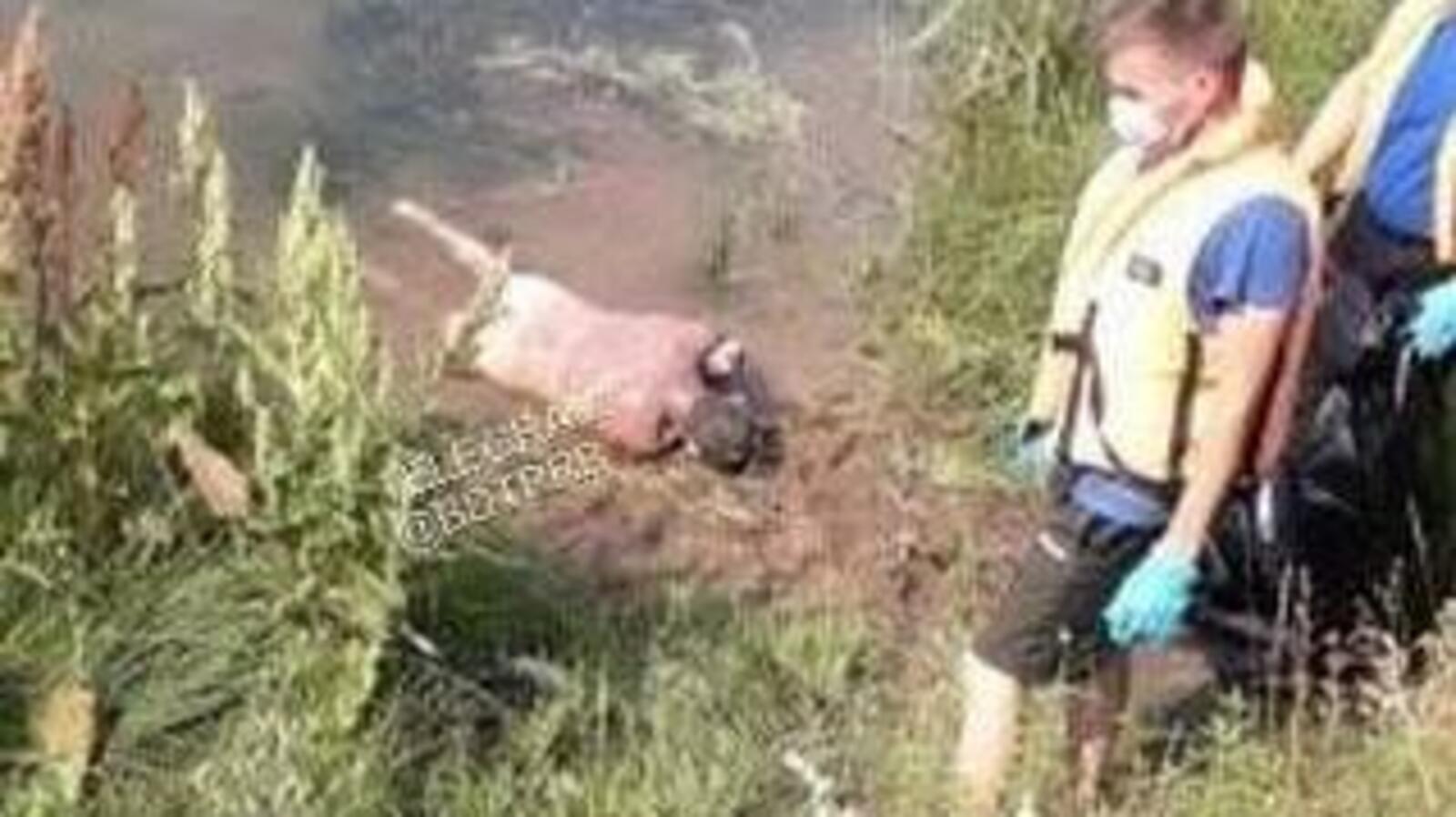 Телеграм-канал