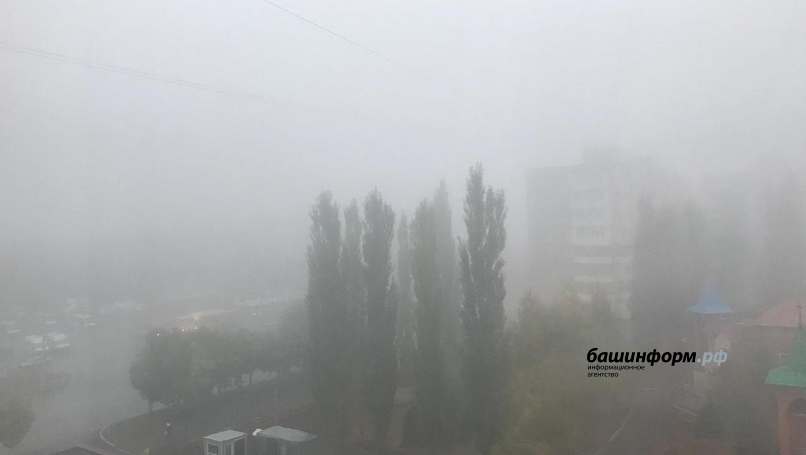 Ксения Калинина