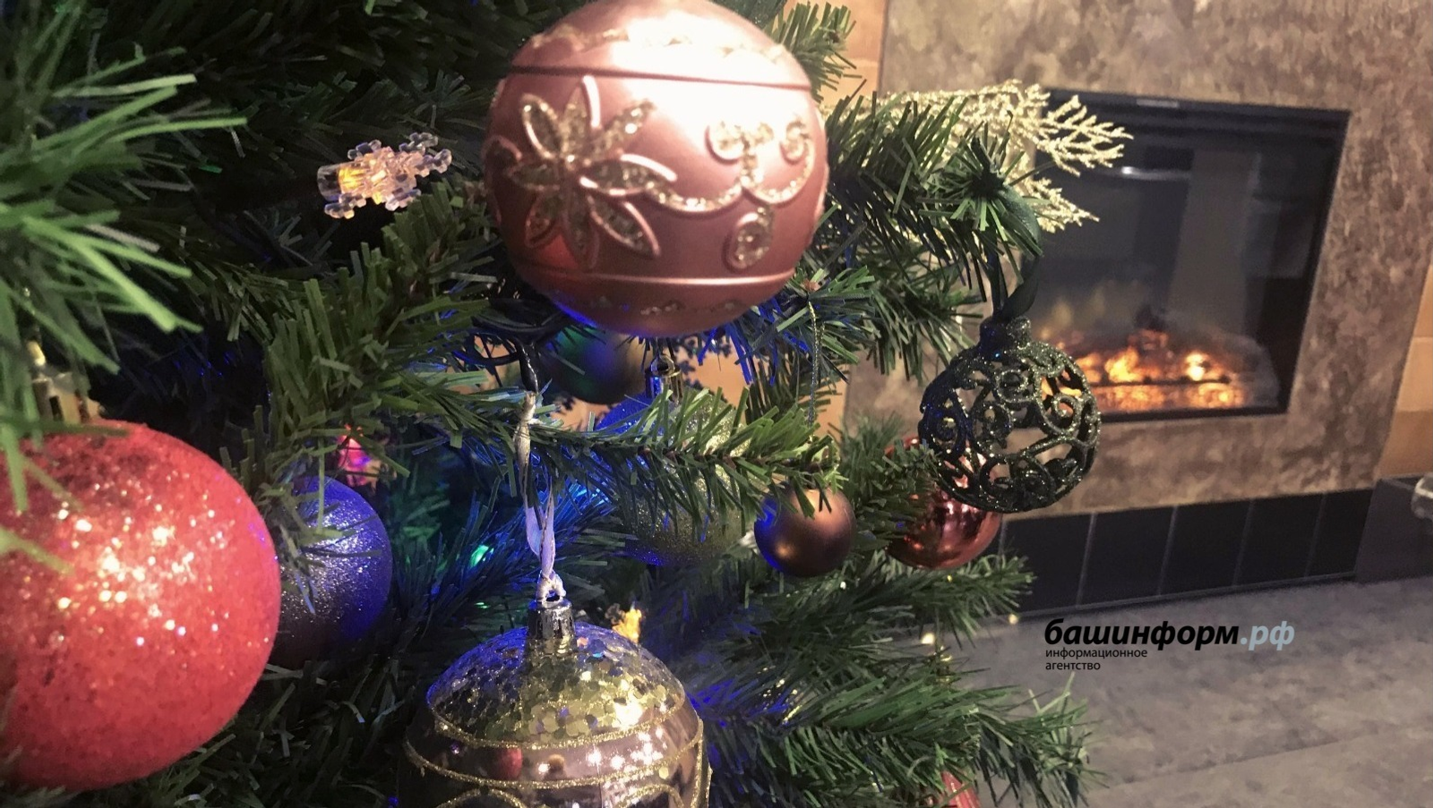 Ксения Калинина