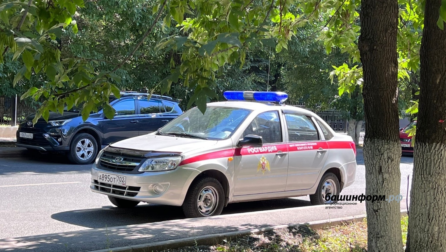Дарья Субботина