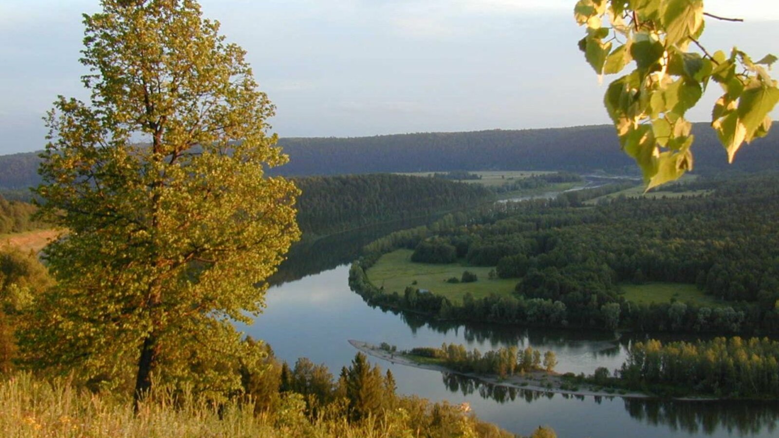 Валерий Шахов