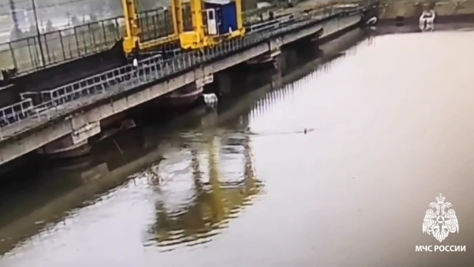 скриншот видео