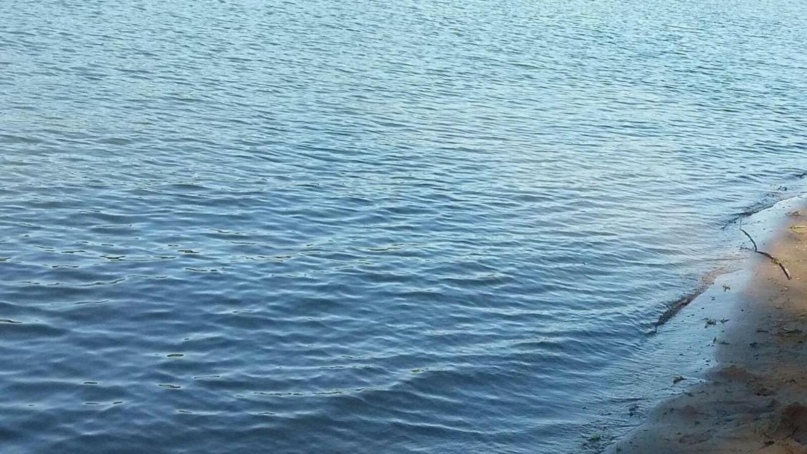 Ксения Калинина